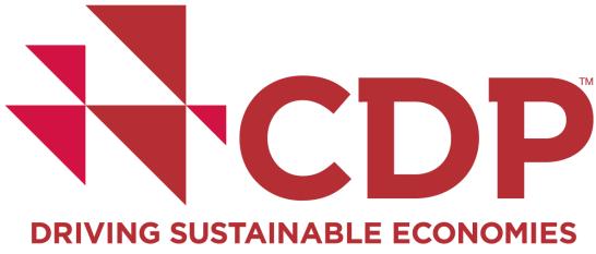 strategy) Included in the CDP Climate Disclosure