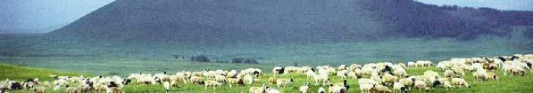 Index based livestock insurance in Mongolia A PPP to protect herders In 2005, the World Bank helped the government of Mongolia establish a livestock insurance scheme through h which h private