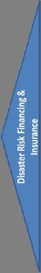 Disaster Risk Financing & Insurance