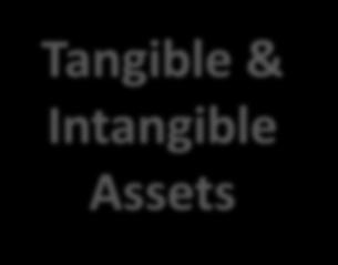 Tangible & Intangible Assets Working Capital Business