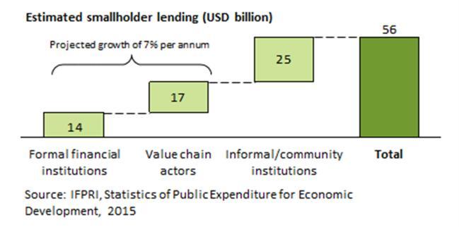as local moneylenders, who continue to play an important role in providing smallholders with access to credit.