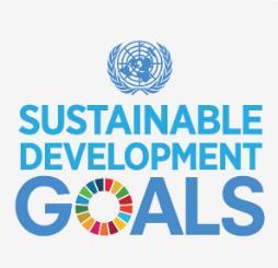 SDGs: The Investment Challenge Meeting the United Nations Sustainable Development Goals is a $4.5 trillion/year funding challenge that compared with current investment patterns leaves a $3.