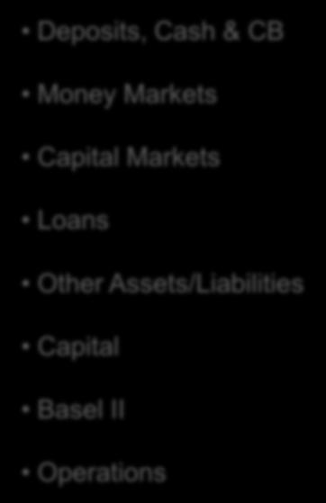 Assets/Liabilities Capital