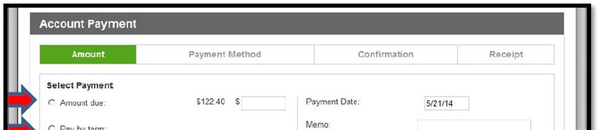 2) Select either the Amount due or Pay by term radio button.