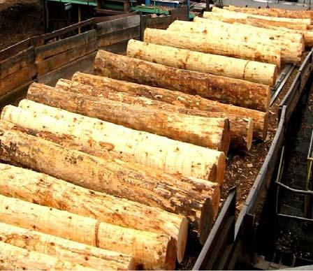 Flathead County Manufacturing Wood
