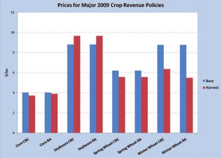 In 2008, winter wheat prices at harvest had been higher than base prices (up nearly 33 percent for CRC and 41 percent for RA), whereas spring wheat prices at harvest fell below base prices (18