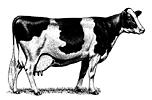 Virginia 4-H Dairy Project Senior Record Book (for youth ages 14 19) Name Date of Birth Age Physical Address Mailing Address (if different) What county/city 4-H program are you enrolled in with this