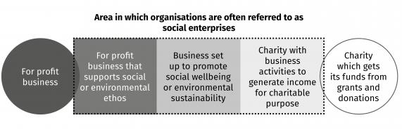 For the purposes of the investigation into the opportunity for and potential structure of a co-investment facility for social enterprise in Ontario, the definition offered by Social Enterprise UK may