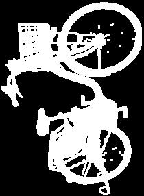 Road Bike Model YPJ-R