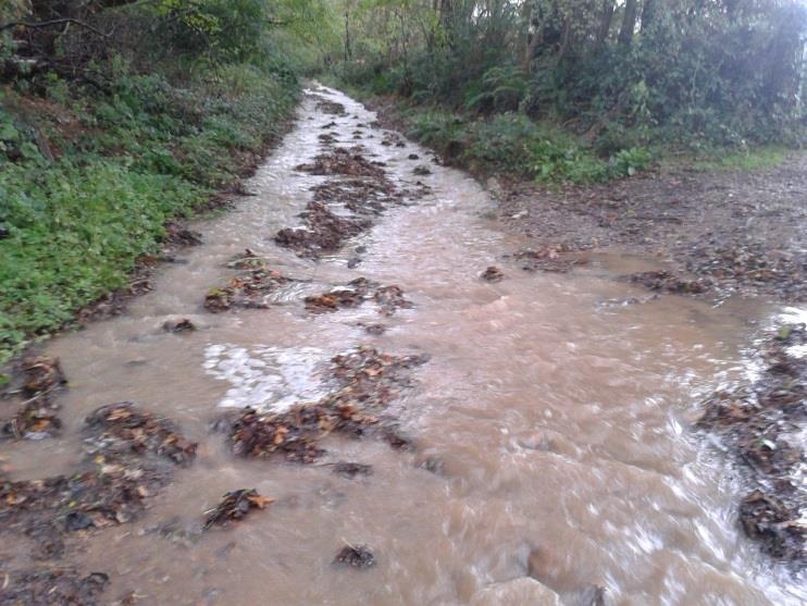 Land Management and Flood Risk The Strategy document outlined flood risk issues associated with soil conditions where erosion and surface runoff can cause localised flooding and pollution.