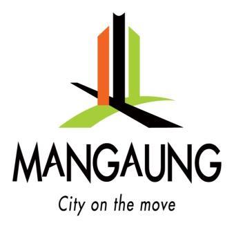 PUBLIC POLICY MANGAUNG LOCAL MUNICIPALITY SUBJECT: PREPAYMENT WATER METERS POLICY NO: 10 /2010 (PP) DIRECTORATE: