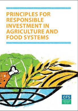 The United Nations encourage the operationalization of the Principles for Responsible Investment and Food Systems endorsed by the Committee on World Food Security (CFS-RAI).