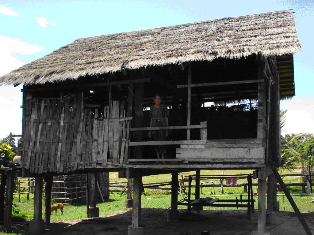 Rural Electrification in Laos Key issue: in village