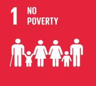 7 (13) - 1.2.2 Poverty according to national dimensions Target 1.3 - Social protection Target 1.3 - Social protection 1.3.1 Social protection floors/systems Population covered by social insurance Total % of population 1.