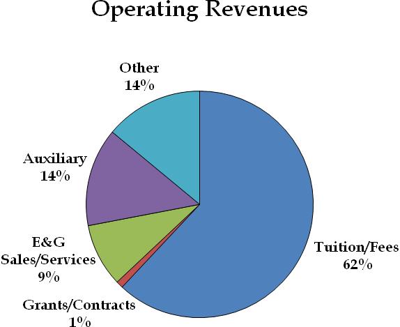 Operating Revenues Operating revenues include all transactions that result in the sales of goods and services. For the University, the most significant operating revenue is student tuition and fees.