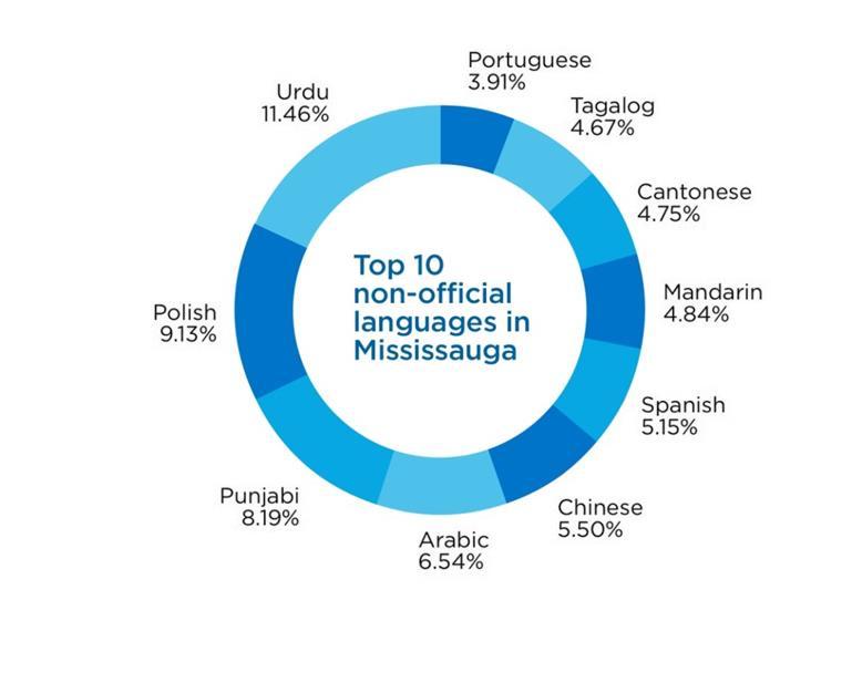 53% 130 languages