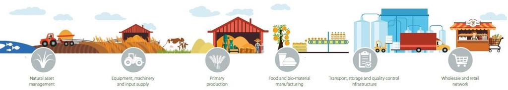 Agri-Food Value Chains Why Finance an Entire Value Chain?