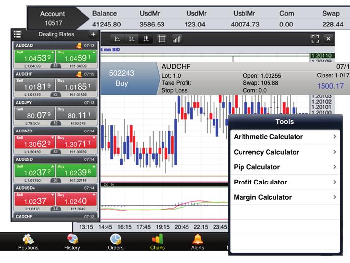 Here, you will find a guide on the use and customization of the IPad-treader. The trader's GUI is covered in detail, along with some fundamental concepts of forex trading, such as currency pairs.