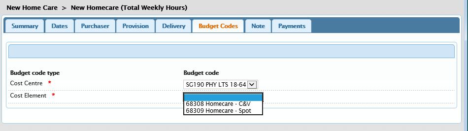 The Budget Codes tab has opened.