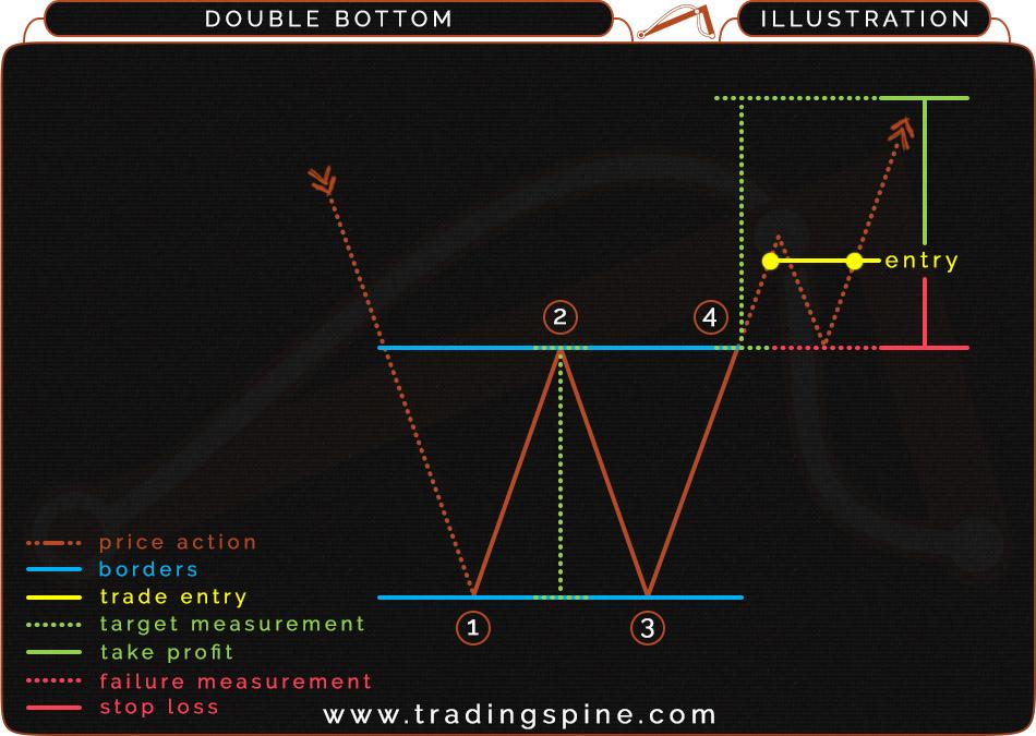 11.6 DOUBLE BOTTOM ILLUSTRATION AND STRUCTURE (BEARISH) Direction: Reversal Type: Bullish Occurrence: High Common term: Medium - Long PRICE ACTION: In a downtrend, price action finds first resistance