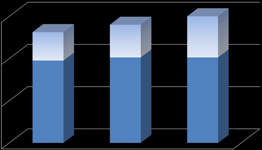 2010- Revenues Evolution Mln 120 105 112 120 REVENUE 80 CAGR ( 10-12) 7% 40 0 2010 2011 Last quarter 9M STRINGING