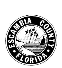 Page No: 1 of 18 I. Purpose The purpose of the Escambia County Purchasing Card Program is to improve efficiency in processing low dollar purchases from any vendor that accepts the Visa credit card.