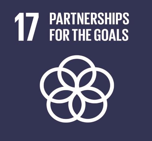 ITALIAN DATA FOR UN-SDGs Sustainable Development Goals of the 2030 Agenda Goal 17 Strengthen the means of