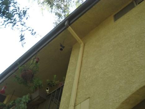 Comp #: 1310 Gutters/Downspouts - Replace Quantity: Moderate LF Location: Roofs and sides of buildings Funded?: No. Too indeterminate for Reserve designation.