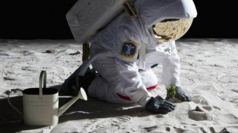 DAY 18 China grows plants on the moon For the first time ever, plants from Earth are growing on the moon. The China National Space Administration showed photos of cotton seeds sprouting into life.