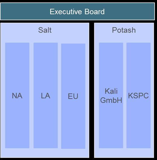 Phase I: Building a basis for our growth options Divisional Silos Matrix COO Group Board of Executive Directors Matrix CEO Group CFO Group Board of