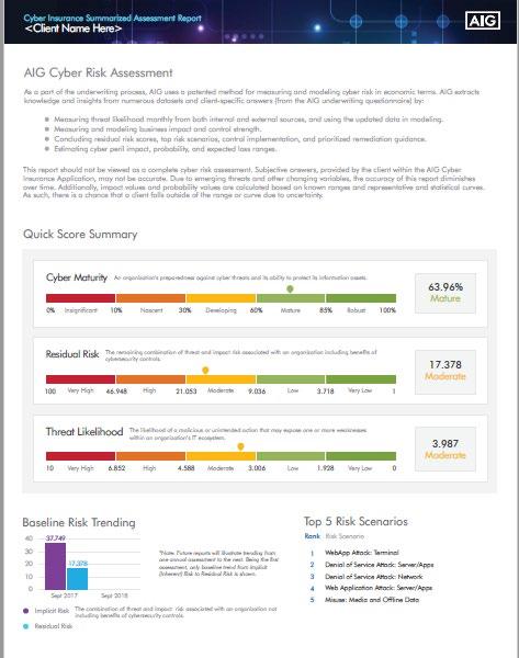 Cyber Underwriting - Client Generated Reports Summary Assessment Report High level feedback from cyber risk model based on smart application input given to applicants looking for a quote.