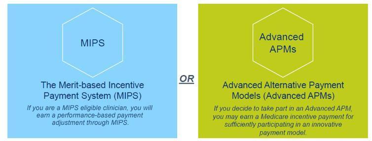 are 4 performance categories that affect your future Medicare payments.
