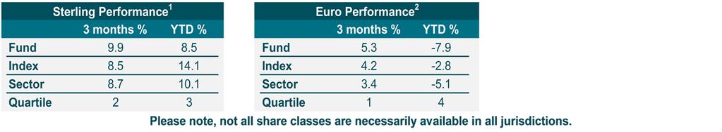 quarter and outperformed the MSCI Europe Index, led by Micro Focus and Covestro.
