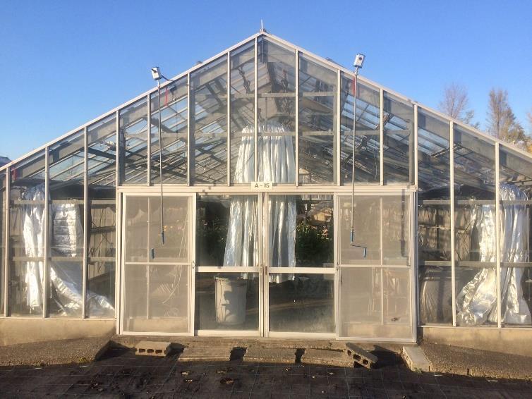 inside vinyl greenhouses Current status Samples provided based on specifications