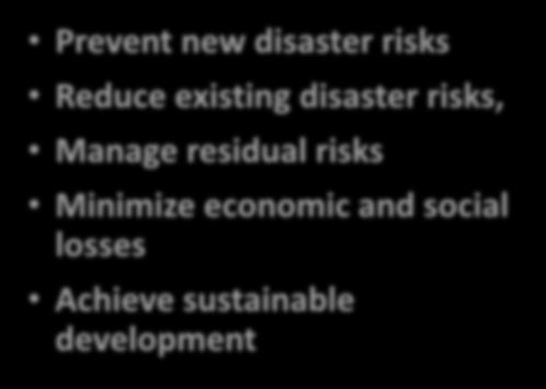Prevent new disaster risks