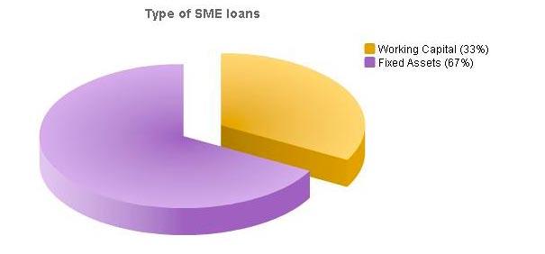 CORPORATE BANKING AND SME DEVELOPMENT The SME portfolio was well balanced between working capital loans and investment loans.