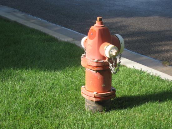Component Listing Included Components 00010-03000 - Common Area Painting: Exterior 520 - Fire Hydrants Useful Life 10 52 Fire Hydrants Quantity 52 Unit of Measure
