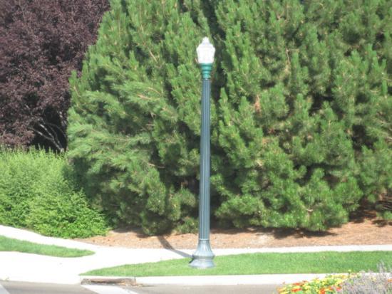 Component Listing Included Components 00010-20000 - Common Area Lighting 205 - Street: Poles & Fixtures Useful Life 5 5 Common Area Quantity 5 Unit of Measure Items Cost /Itm $2,000 18 100.