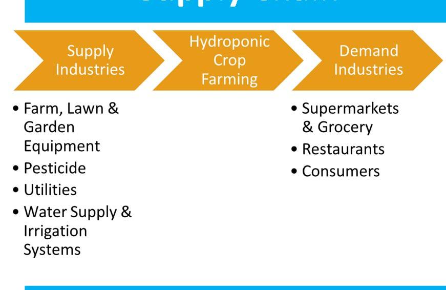 Market segment analysis Hydroponic Crop Farming Supply Chain Key External Drivers Demand from fruit and vegetable markets Demand from supermarkets and grocery stores Price of vegetables Trade
