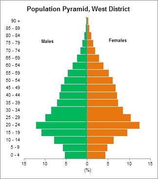 Figure 3: Population pyramid (Union, Yangon Region, West District and Lanmadaw Township) The birth rate has been