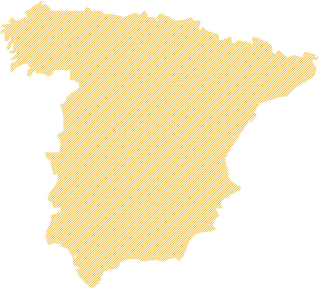 Committed to Spain 4,000 employees 3 headquarters 16 factories* Supplier purchases of 900m 2,600 suppliers Continued