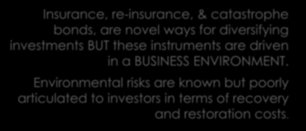 Environmental risks are known but poorly articulated to investors in terms of