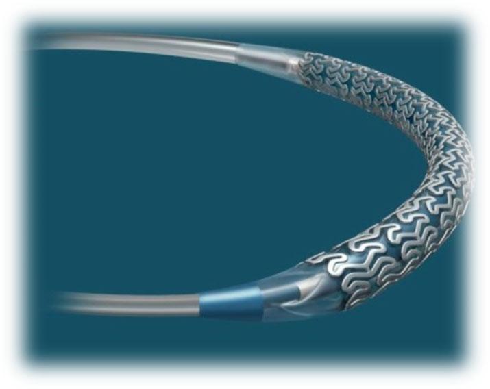 Pursue Regional Strategy in China Acquisition of Essen Technology Co., Ltd. (announced in July 24) Tivoli drug eluting stent for Chinese market Upfront payment of 14.