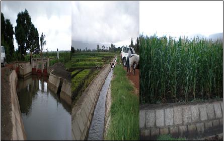 Construction of dams in the semiarid districts in the country for irrigation purposes Implementing input support