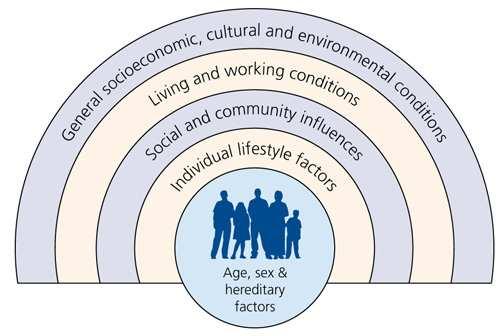 HiAP: intersectoral action on health determinants The entry point for Health in All Policies The so called determinants of health influence the health of the population and