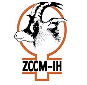 ZCCM Investment Holdings PLC ZCCM Investment Holdings PLC (ZCCM-IH) is a holding company, majority owned by the Republic of Zambia, which holds interests in mining companies on behalf of Zambia.