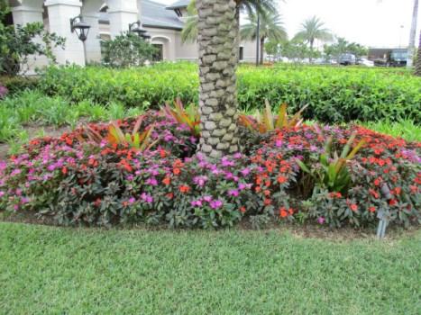 Comp #: 2185 Landscaping - Refurbish Quantity: Numerous Areas Location: Funded?: No.