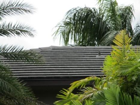 Comp #: 2383 Roofs (Tile) - Replace Quantity: Approx 48,800 GSF Location: Building rooftop(s) Evaluation: The timeline for tile roof replacement is generally estimated based on the age of the roof.