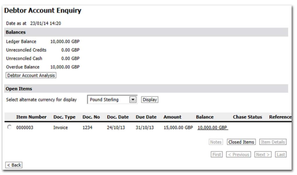 Debtor Account Enquiry button Click on the DEBTOR ACCOUNT ENQUIRY button to view the Debtor details that the selected