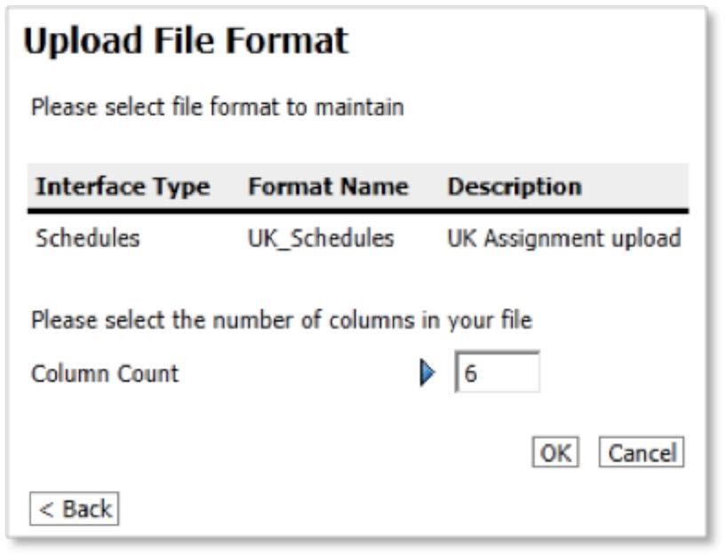 You enter the total number of columns you have in your file. Click on OK to continue.